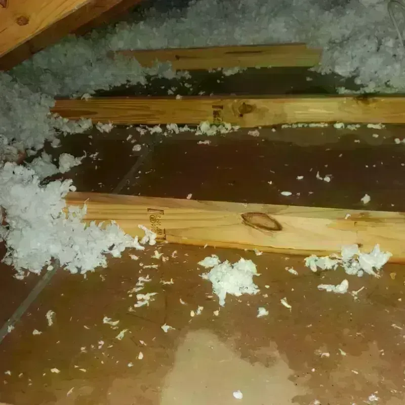 Attic Water Damage in Brown County, TX