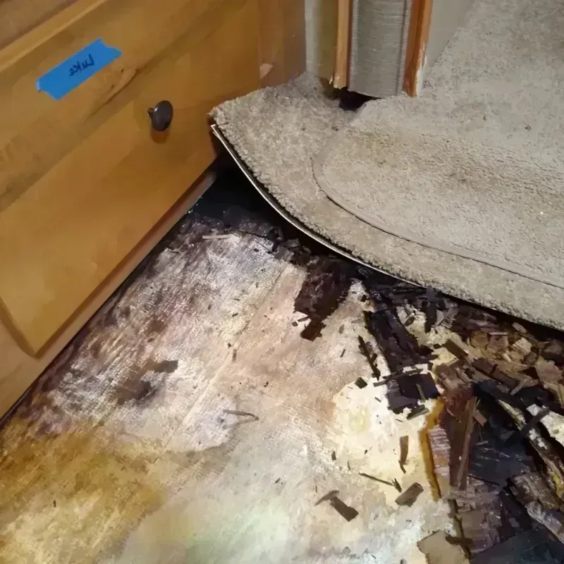 Wood Floor Water Damage in Brown County, TX